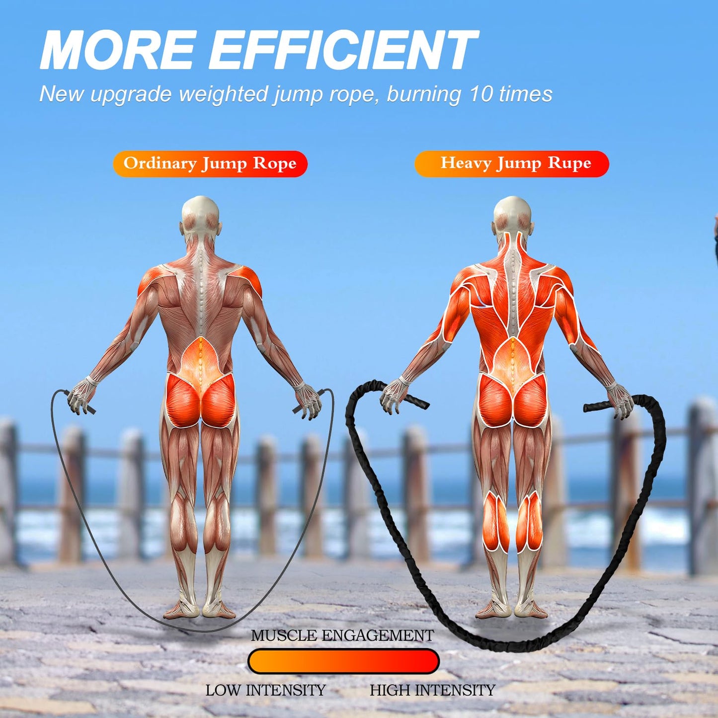 Battle Rope Exercise Rope 1.26/1.5inch, 30 40FT Heavy Exercise Rope Weighted Battle Rope for Home Gym,Training Heavy Rope for Workout Exercise
